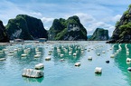 Quảng Ninh: Nơi đầu tiên cả nước ban hành quy định về phao nổi trong nuôi trồng thủy sản