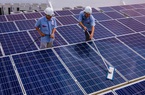 Phát triển điện mặt trời thiếu kiểm soát, Thủ tướng Nguyễn Xuân Phúc chỉ đạo “khẩn”