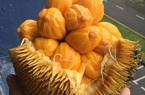 Trái cây rừng xuống phố 'cháy hàng'