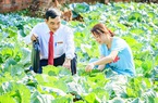 "Bệ phóng" giúp nông dân Bình Định làm giàu