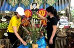 Quảng Nam: Sắp diễn ra hội chợ với quy mô hơn 100 gian hàng