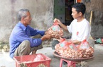 Bắc Ninh có 19 sản phẩm nông nghiệp được bảo hộ sở hữu trí tuệ