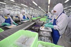 EVFTA đang tạo ra sức bật mới cho ngành thủy sản Việt Nam 