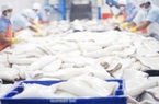 Xuất khẩu mực, bạch tuộc sang Hàn Quốc tăng mạnh