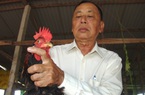 Ông nông dân được mệnh danh là "quái kiệt" trong nghề nuôi loài gà đặc sản ngon nức tiếng đất Gò Công