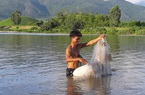 Vùng đất nông dân buông lưới, đặt lờ "rình" bắt những con cá quý hiếm mà thiên hạ tôn lên hàng cá đặc sản
