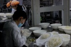 Phát triển Cần Giờ thành đô thị sinh thái, 