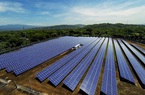 Hé lộ ông chủ nghìn tỷ đứng sau Dự án điện mặt trời lớn nhất Đông Nam Á vừa bị phạt