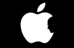 Nikkei: Apple thúc đẩy sản xuất Macbook và loạt sản phẩm chủ lực tại Việt Nam