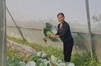 Người phụ nữ làm giàu từ nông nghiệp công nghệ cao