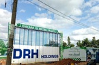 DRH Holdings: Năm 2020 doanh thu giảm mạnh, vay nợ tăng 136,8%   