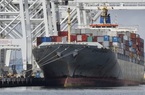 "Mờ mắt" vì tiền, các hãng vận tải từ chối chở nông sản Mỹ để gửi container rỗng sang Trung Quốc