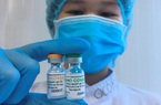 Việt Nam đàm phán mua 30 triệu liều vaccine COVID-19 của Anh