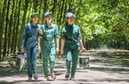 Tập đoàn cao su Việt Nam nâng mục tiêu doanh thu lên 27.100 tỷ đồng