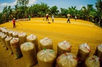 Việt Nam nhập khẩu 70.000 tấn gạo từ Ấn Độ: Chuyện bình thường trong xu thế hội nhập
