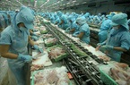 Doanh nghiệp thủy sản "đứng ngồi không yên" vì nhiều loại chi phí tăng cao
