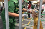 Đường hoa, quán cà phê tại TP.HCM đông nghịt khách ngày đầu năm mới