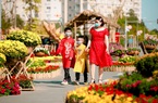Đường hoa Home Hanoi Xuân: Điểm đến an toàn dịp Tết Tân Sửu