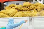 Quảng Ninh kêu gọi tiêu thụ nông sản cho nông dân vùng dịch