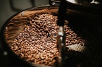 Giá nông sản hôm nay 23/2: Tiêu đồng loạt tăng, cà phê ít thay đổi