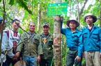 Quảng Nam trồng 80 triệu cây xanh 