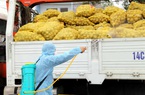 Nông dân Hải Dương, Quảng Ninh điêu đứng vì Covid-19, Bộ NNPTNT đề nghị báo cáo nhanh tình hình sản xuất