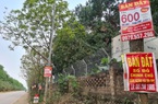 Giá đất tăng sẽ gây nguy cơ bong bóng bất động sản 2021?