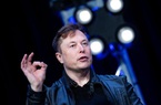Elon Musk kiếm thêm 17,9 tỷ Bảng chỉ trong một ngày sau khi cổ phiếu Tesla tăng vọt
