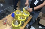 Bắt giữ gần 6kg thảo mộc nghi ma túy từ Mỹ về Việt Nam theo dạng quà tặng, quà biếu 