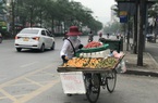 "Sốt" thanh trà dọc vỉa hè Hà Nội, giá 200.000 đồng/kg