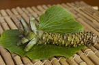 Wasabi - Loại cây khó trồng nhất thế giới