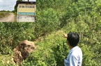 Vụ Giám đốc quá 4 tuổi hưu xin… nghỉ hưu: Sai phạm hàng loạt, từng nhận án kỷ luật cảnh cáo
