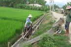 Quảng Nam đầu tư hàng trăm tỷ đồng phát triển thủy lợi