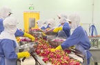 Vượt qua Covid-19, kim ngạch xuất khẩu nông, lâm, thủy sản Việt Nam tăng mạnh trong quý I/2021