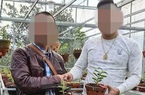 Hoa lan đột biến: Một người dân Vĩnh Phúc trình báo công an mua phải lan đột biến giả giá gần 10 tỷ