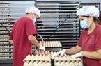 Tây Ninh: Sắp có nhà máy ấp trứng gia cầm 200 tỷ, xuất khẩu gà giống sang Campuchia chỉ trong 1 giờ 