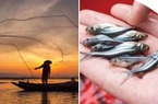 Hà Lan hỗ trợ Việt Nam dự án phát triển ngành ươm giống và thích ứng với biến đổi khí hậu cho nông nghiệp ĐBSCL