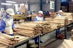 Nhập khẩu gỗ nguyên liệu: Cần đề phòng nguy cơ điều tra phòng vệ thương mại