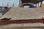 Kinh hoàng rác thải “bủa vây” cảng cá Lạch Vạn (Nghệ An)