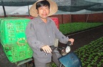 Tại sao cựu phóng viên Nguyễn Hoài Nam bị khởi tố, bắt tạm giam?