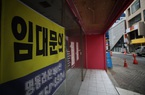 Hàn Quốc: Một em bé sơ sinh làm đại diện cho doanh nghiệp bất động sản với mức lương 80 triệu won/năm