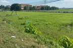 Huyện Thanh Oai để dự án "khủng" bỏ hoang nhiều năm, lãnh đạo HĐND Hà Nội nói gì?