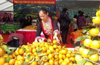Trung Quốc chi 1,5 tỷ USD mua lượng trái cây khổng lồ của Việt Nam nhưng sắp áp dụng lệnh mới, doanh nghiệp lo