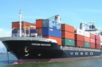 Vận tải biển Việt Nam (VOS): Lãi 9 tháng cao kỷ lục mọi thời đại hơn 408 tỷ nhờ giá cước tàu tăng vọt