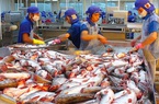 9 tháng xuất khẩu cá tra đạt hơn 1 tỷ USD