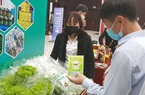 Đà Nẵng: Tuần lễ kích cầu phục hồi mua sắm ưu đãi giảm giá 50%-100%