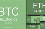 Giá Bitcoin hôm nay 29/10: Áp lực mua gia tăng, sắc xanh trở lại