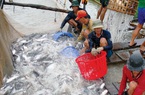 Tại sao Trung Quốc đột ngột giảm mua thủy sản của Việt Nam?