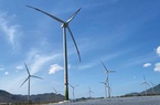 Bộ Công Thương lưu ý các nhà đầu tư dự án điện gió về ngày vận hành thương mại