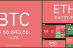 Giá Bitcoin hôm nay 10/11: Sau khi đạt kỷ lục về giá, Bitcoin giảm nhẹ